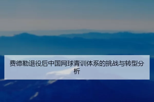 费德勒退役后中国网球青训体系的挑战与转型分析